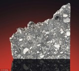 罕见巨型陨石将亮相拍卖会：估价达3170万元