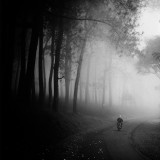 梦幻的黑白影像 摄影师用镜头表现水墨画意境