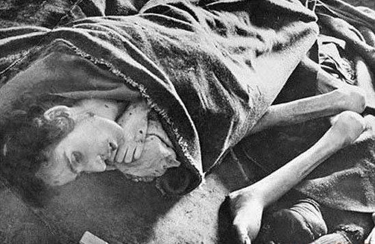 奥斯维辛集中营是纳粹德国犯下滔天罪行的历史