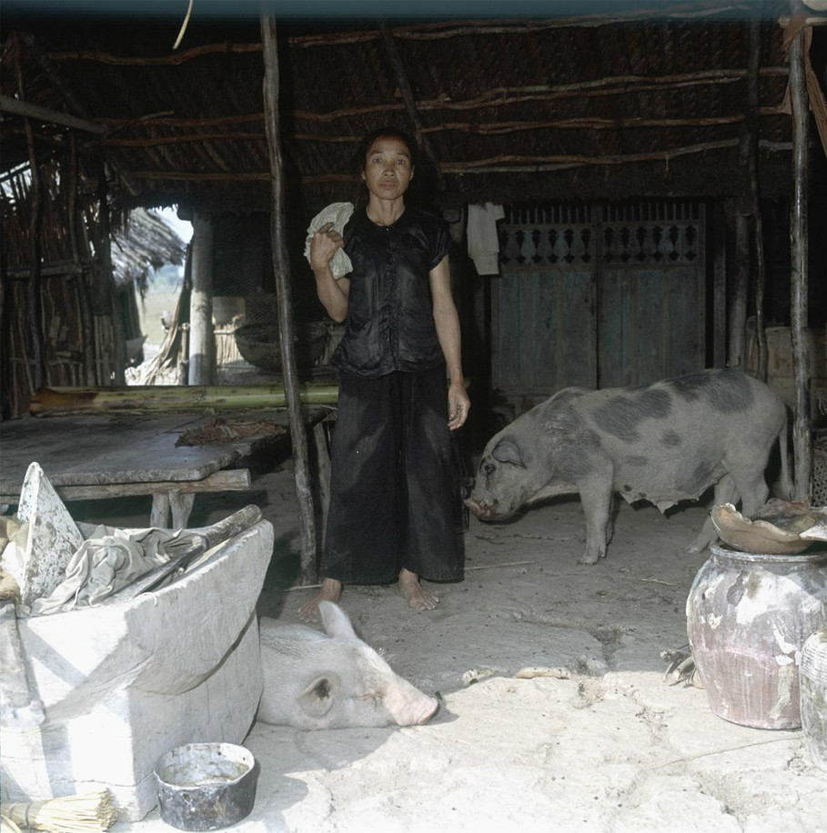 圖說越戰期間南越的社會生活（42p）