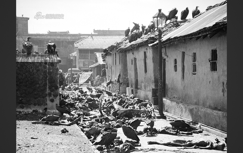 加尔各答的人口_印度加尔各答发生大火24人死亡 组图(2)