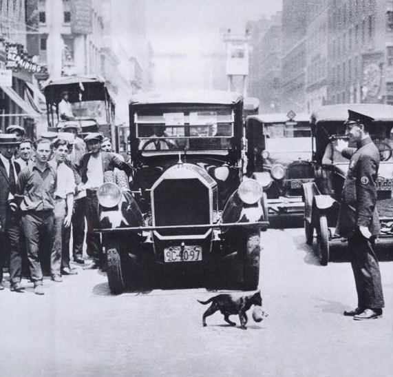 羽毛球决赛-乐鱼app(leyu)官方网站-乐鱼官网