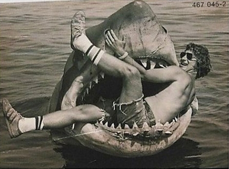 british-乐鱼app(leyu)官方网站-乐鱼官网