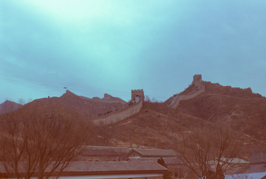 1979年人口_1979年茅台酒图片