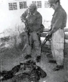 黑镜头：切·格瓦拉之死