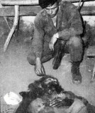 黑镜头：切·格瓦拉之死