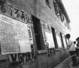 组图：1978年云南五万知青罢工下跪请愿回城