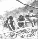 组图：1978年云南五万知青罢工下跪请愿回城