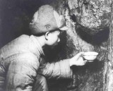 图说上甘岭战役：志愿军的坚守