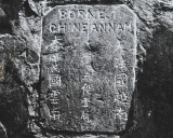 对越侦察大队捕俘作战珍贵照片