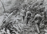 对越侦察大队捕俘作战珍贵照片