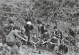 对越侦察大队捕俘作战珍贵照片