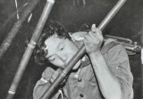 对越侦察大队捕俘作战珍贵照片