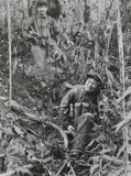 对越侦察大队捕俘作战珍贵照片