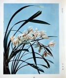 难得一见：江青书法摄影作品