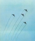 难得一见：江青书法摄影作品