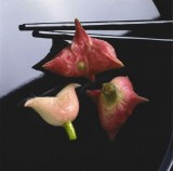 组图：1985年的中国味道