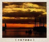 组图：江青摄影作品选