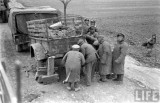 1947-1948年美国视角下的东北战局