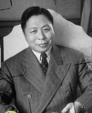 1950年逃往台湾后的国民党政治军事人物影像