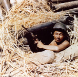 图说二战时期星条旗下的日裔美军