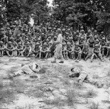 图说二战时期星条旗下的日裔美军