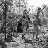 图说二战时期星条旗下的日裔美军