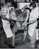 17张诡异老照片：自杀式小坦克、飞机撞大树