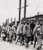 砍头辱尸：老照片揭秘军阀时代的中国乱象