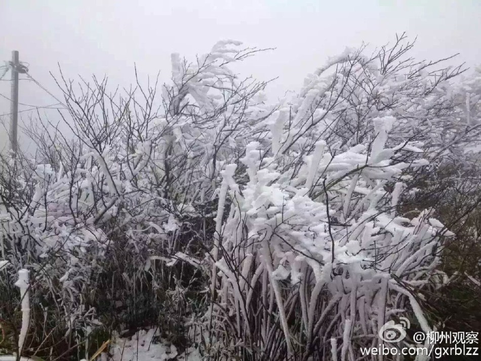 寒风呼啸满山冰凌 柳州融水进入寒冬模式