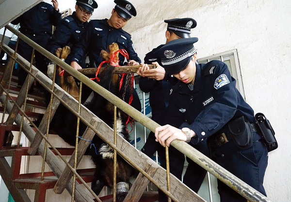 南宁有多少人口_记者调查