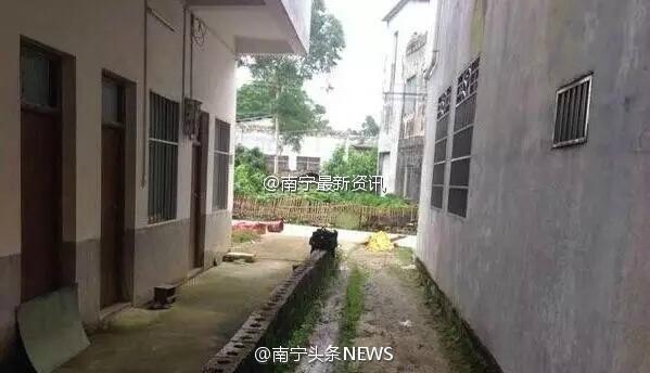 宾阳武陵镇人口_宾阳武陵财政所(3)