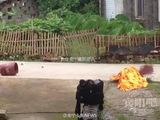 宾阳武陵镇人口_宾阳武陵财政所(3)