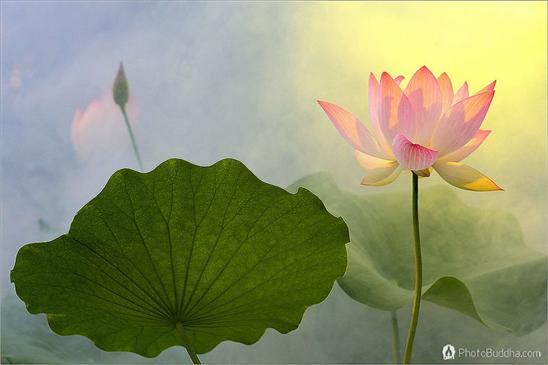 天下足球贝克汉姆