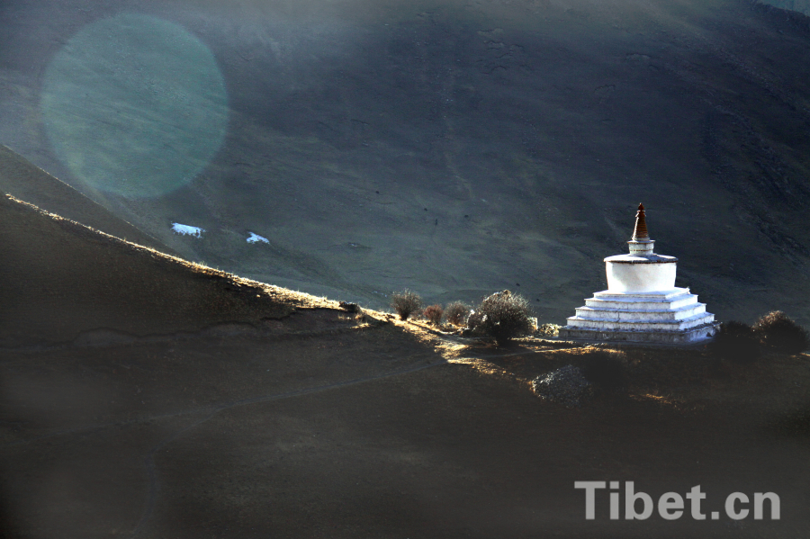 前田辽一-乐鱼app(leyu)官方网站-乐鱼官网