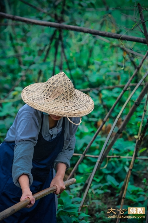 莱拉罗阿斯-乐鱼app(leyu)官方网站-乐鱼官网