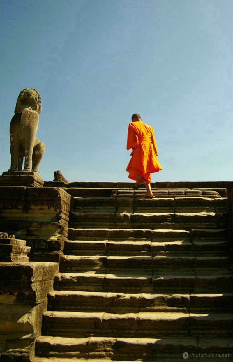 巴西vs克罗地亚直播-乐鱼app(leyu)官方网站-乐鱼官网