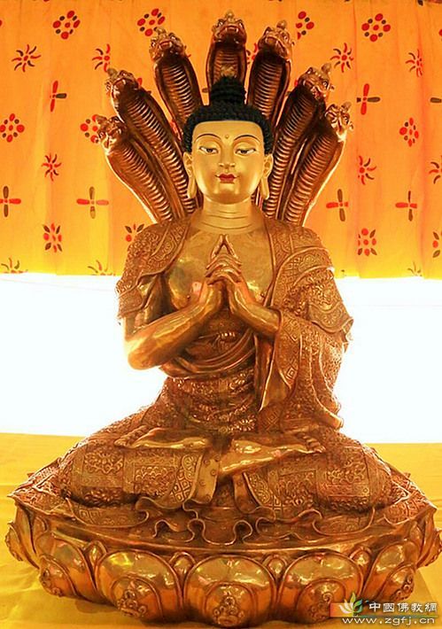 龙树菩萨精美图集
