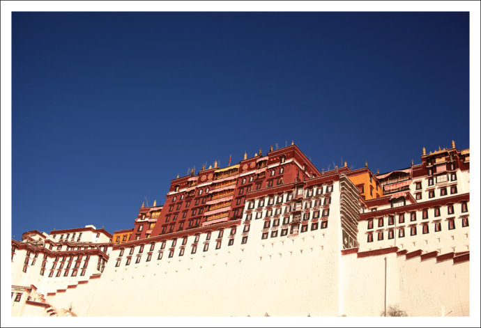 超新星11人-乐鱼app(leyu)官方网站-乐鱼官网