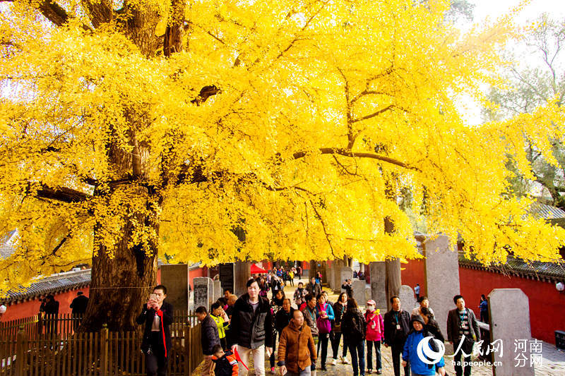 皇马vs西班牙人