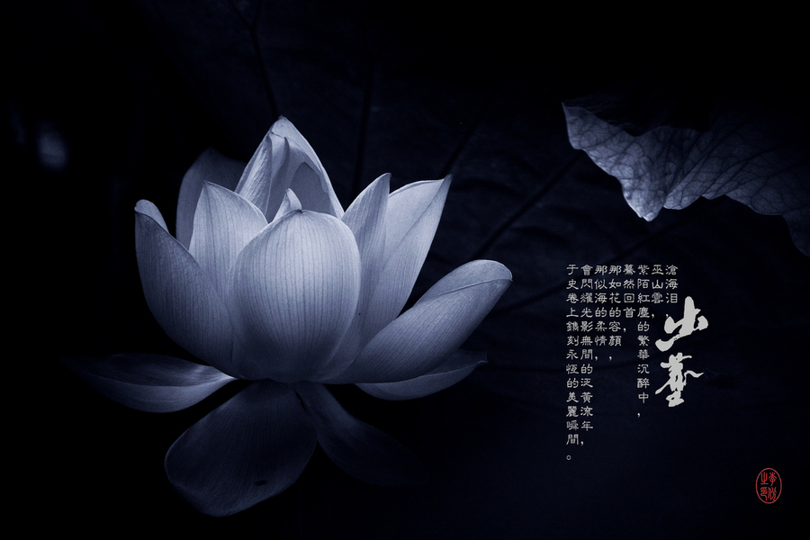 1 / 34 莲花在佛教中,是清净,圣洁,吉祥的象征;特别是以莲花出于污泥