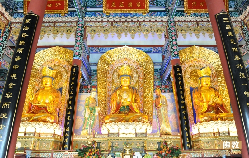 德罗巴资料-乐鱼app(leyu)官方网站-乐鱼官网