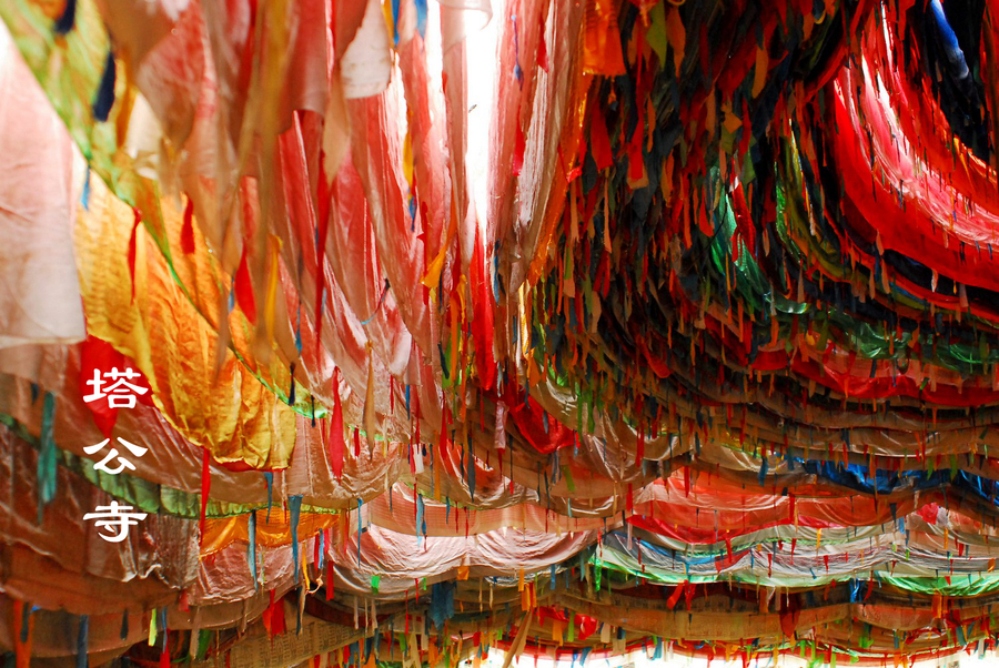 郑大世 挖煤-乐鱼app(leyu)官方网站-乐鱼官网