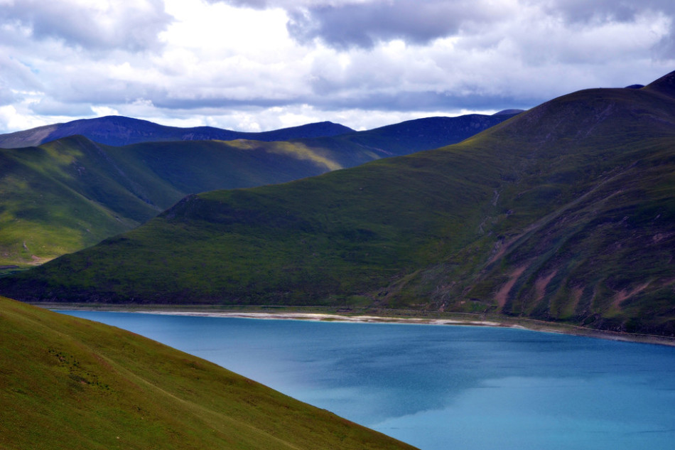 韩国vs阿尔及利亚