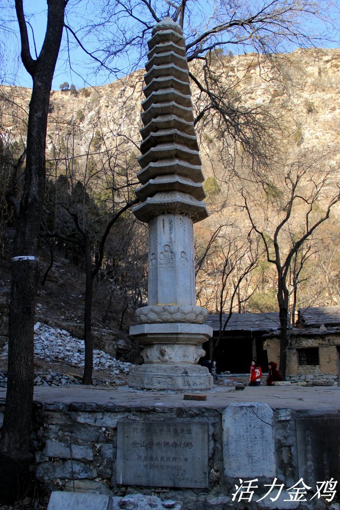 瓦格纳 洛维-乐鱼app(leyu)官方网站-乐鱼官网