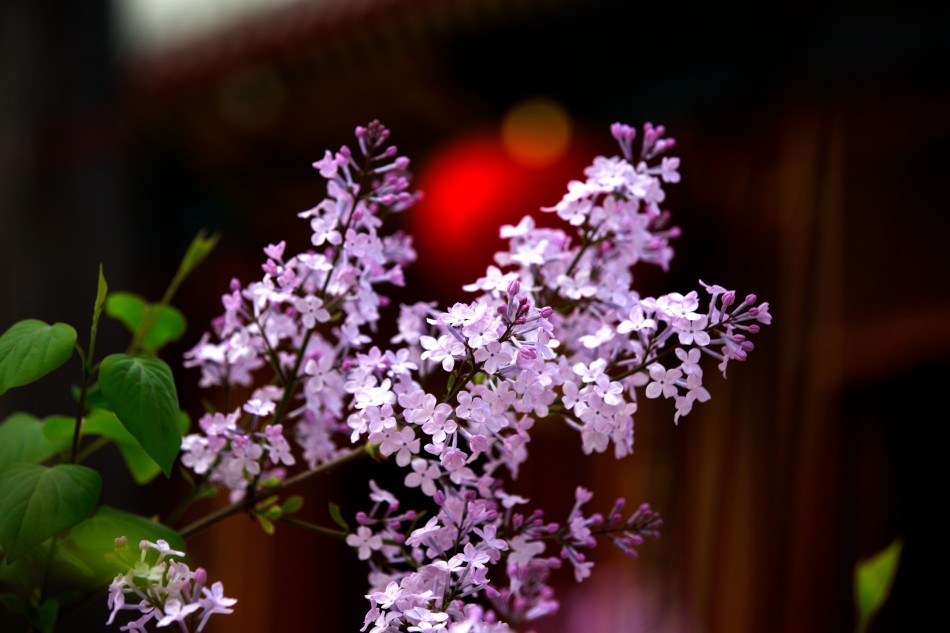 扎戈耶夫-爱游戏APP(中国)官方网站下载_AIYOUXI体育