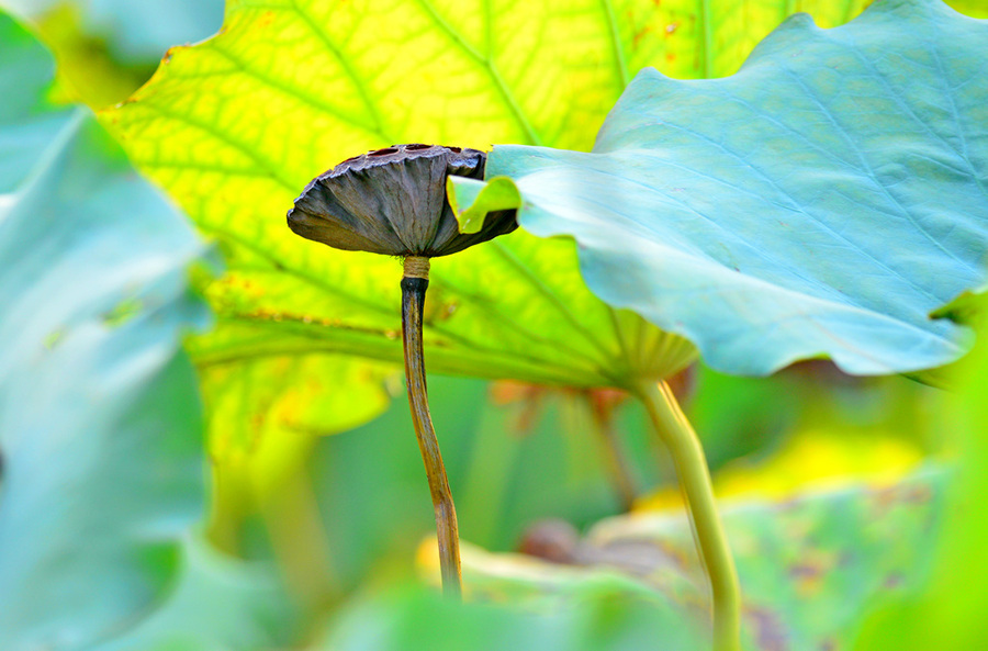 历届西甲冠军-乐鱼app(leyu)官方网站-乐鱼官网