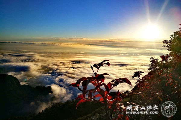 贵州人和盛鹏-乐鱼app(leyu)官方网站-乐鱼官网