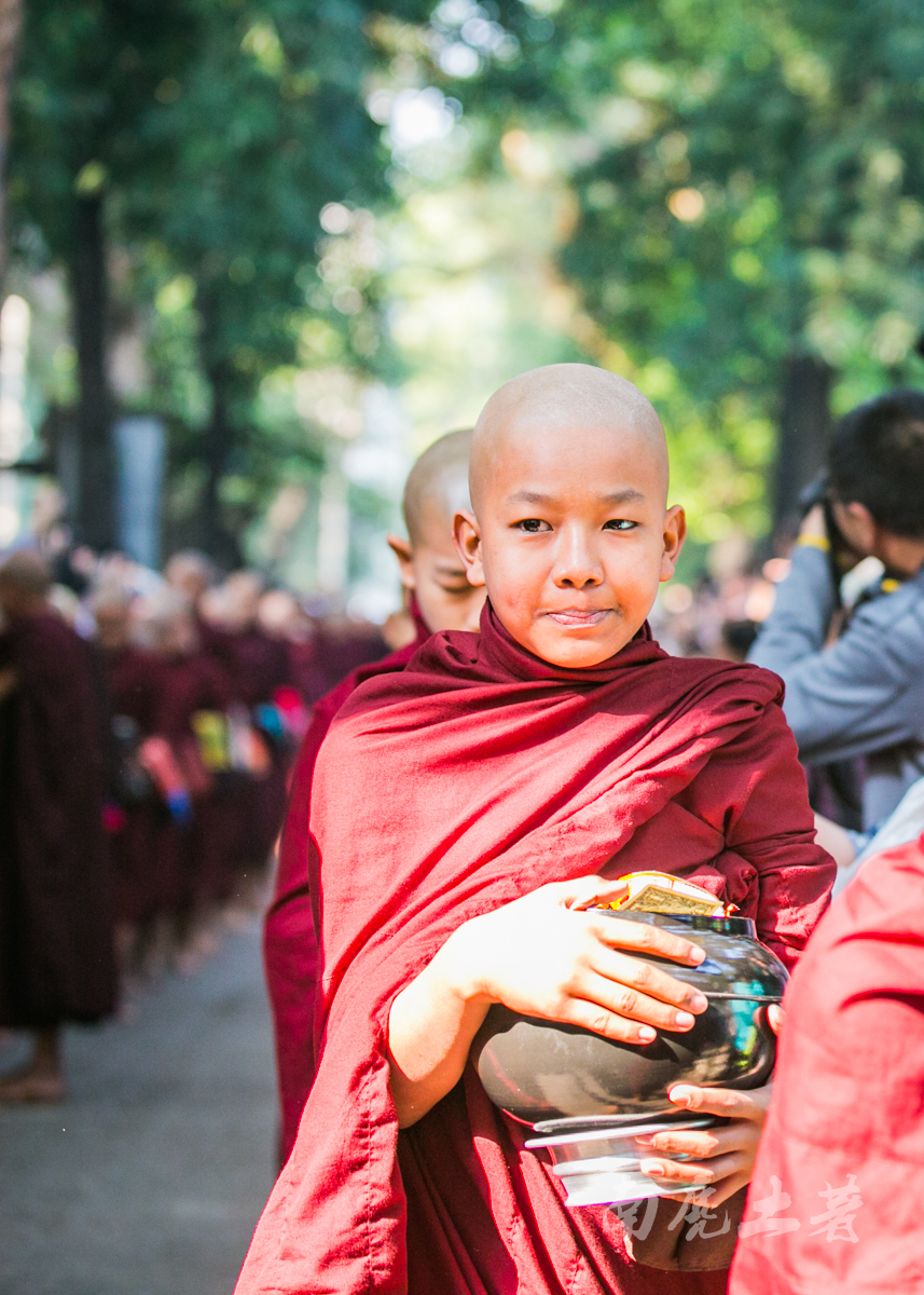 中国网络电视台直播-乐鱼app(leyu)官方网站-乐鱼官网