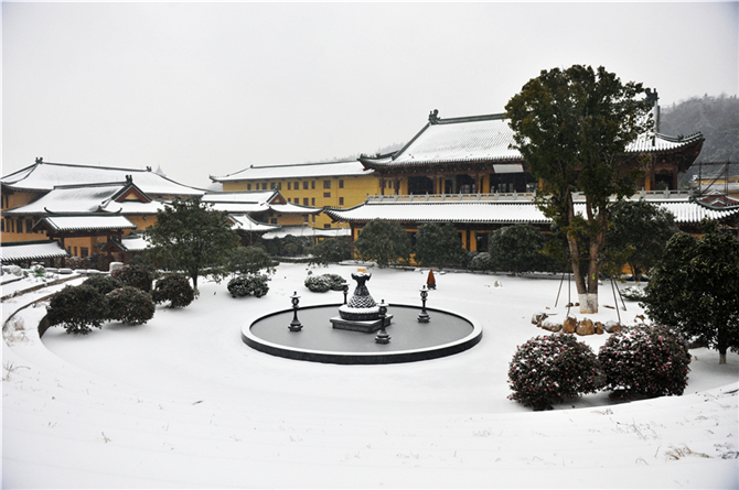 蒂亚戈·梅西-乐鱼app(leyu)官方网站-乐鱼官网